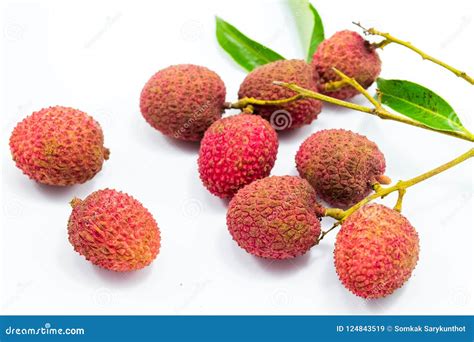 Fresh Lychees Fruit Stock Image Image Of Fruits Lychees 124843519