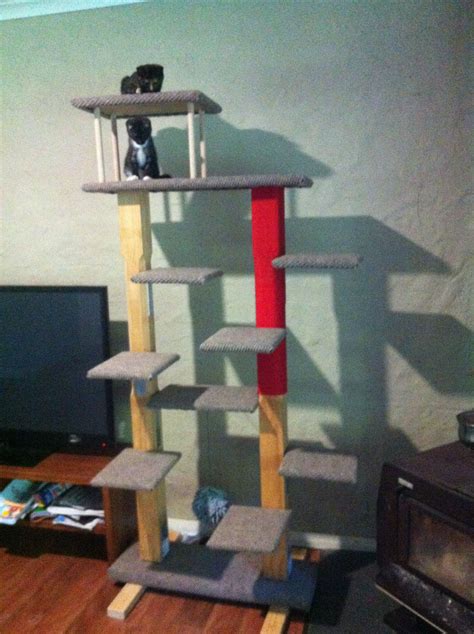 An Easy To Make Cat Entertainment Playhouse Hours Of Fun For Cats