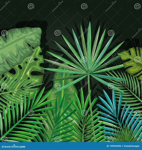 Tropical And Exotic Palms Leafs Stock Vector Illustration Of