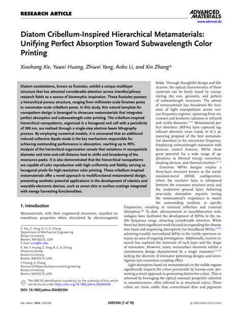 Diatom Cribelluminspired Hierarchical Metamaterials Unifying Perfect