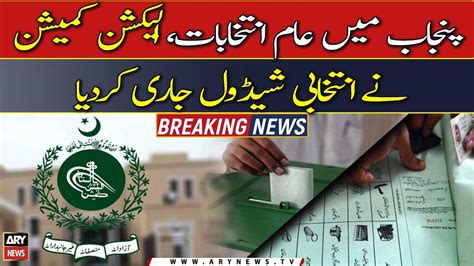 ECP Releases Election Schedule For General Polls In Punjab Video