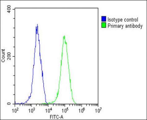 Bax Antibody (BH3 Domain Specific) - Purified Rabbit Polyclonal ... 