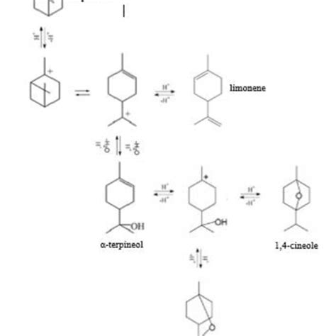 Isomerization reaction mechanism of α-pinene. | Download Scientific Diagram