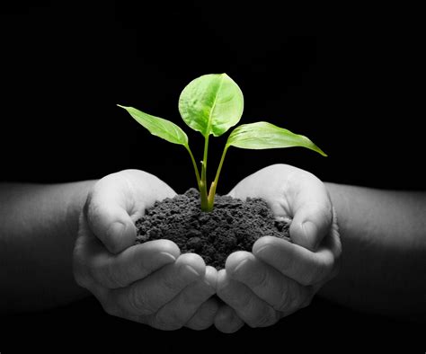 Plant Introduction and Acclimatization: History, Organizations