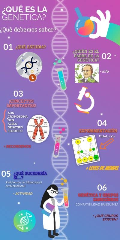 Infograf A Qu Es La Gen Tica