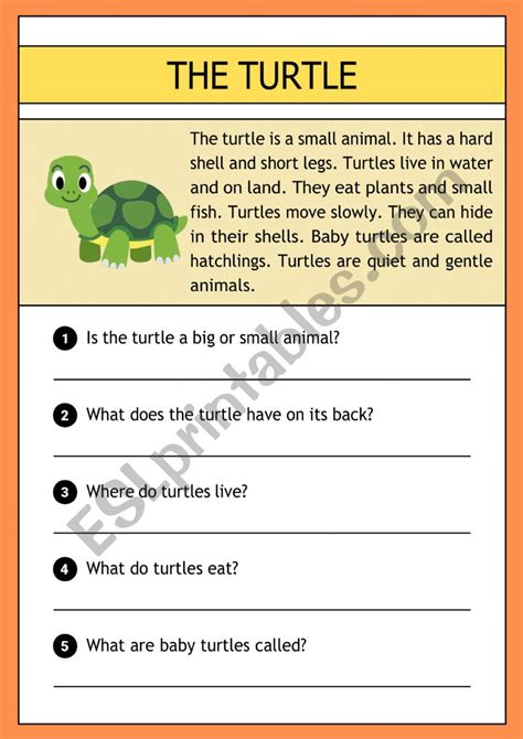 The Turtle Esl Worksheet By Demeter2023