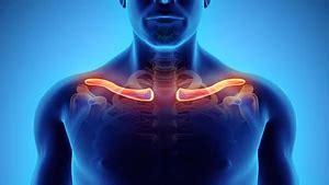 Surgery for Clavicle Fracture (Broken Collarbone) | Sports-health