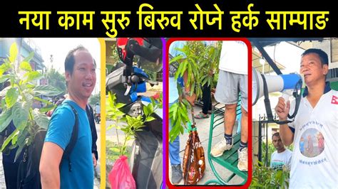 नया काम सुरु बिरुव रोप्ने हर्क साम्पाङ Harka Sampang Youtube