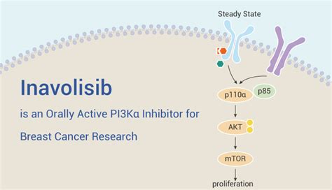 Inavolisib is an Orally Active PI3Kα Inhibitor for Breast Cancer