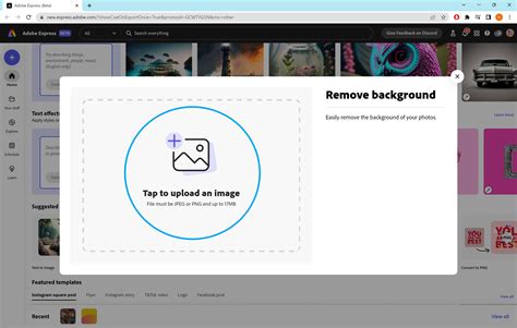 How To Remove A Background In Adobe Express