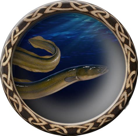 Download Hd Eel Transparent Png Image