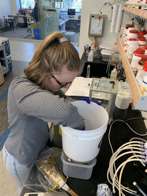 Winter Research at Bigelow Laboratory for Ocean Sciences - Blog