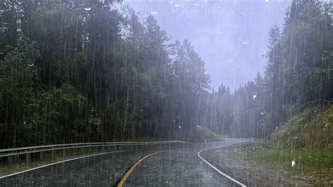 Fall Asleep In Under Minutes With Heavy Rainstorm And Strong Wind In