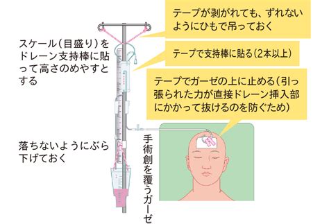 dobr