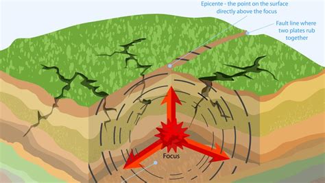 La cucala educativa Anatomía de un terremoto