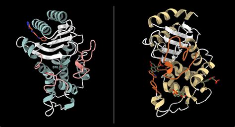 Figure Supplement 1 Catalytic Cycle Of A Class A β Lactamase