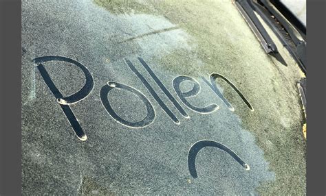 Bad news for allergy sufferers: ‘The pollen storm is beginning’ - nj.com