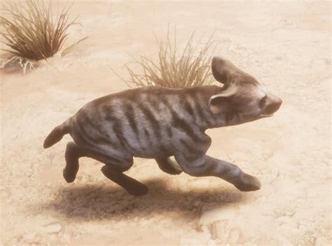 Striped Hyena Cub - Official Conan Exiles Wiki