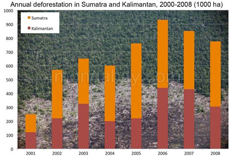 Indonesian Rainforest Slideshow: Chart: Annual deforestation in Sumatra and Kalimantan, 2001-2008