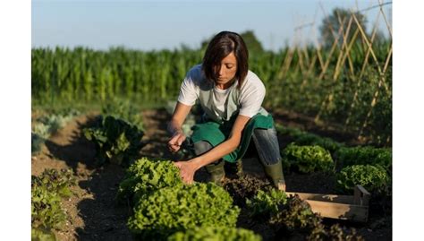 Verduras Con Hierro Para La Anemia Tienda De Fruta