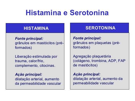 A Histamina Promove A Vasodilatação Nos Primeiros Estágios Da Inflamação - Função Da Histamina Na Inflamação – LTQS