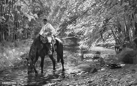 Horse Drinking Water Cartoon Photos and Premium High Res Pictures ...