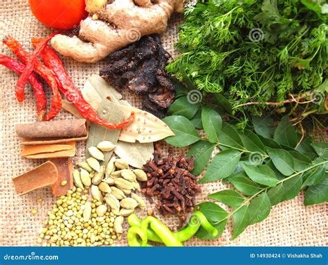 Indian Curry Spices stock photo. Image of spice, variety - 14930424