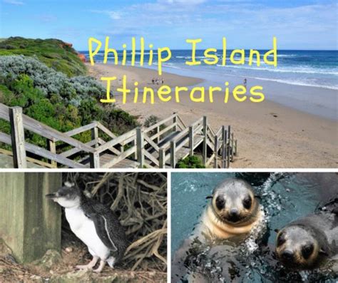 Phillip Island The Real Tourist Guide