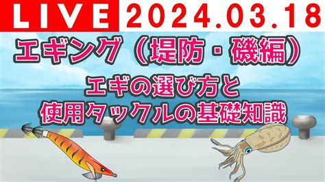 【授業感想】エギング（堤防・磯）【エギの選び方と使用タックルの基礎知識】 Youtube