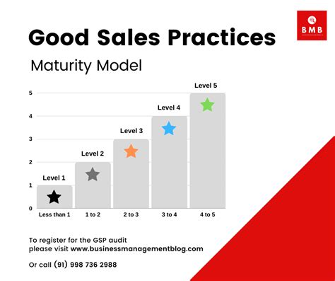 Sales Best Practices Maturity Model For Business Success