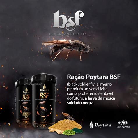 Ra O Para Peixes Kit Poytara Garlic Alho Poytara Bsf G Mega Aqu Rios