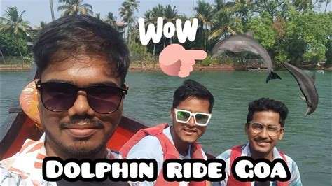 Dolphin Ride In Goa Goa Dolphin Trip Goa Dolphin Show Goa Dolphin Ride