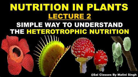 Class 7 Science Nutrition In Plants Heterotrophic Nutrition In