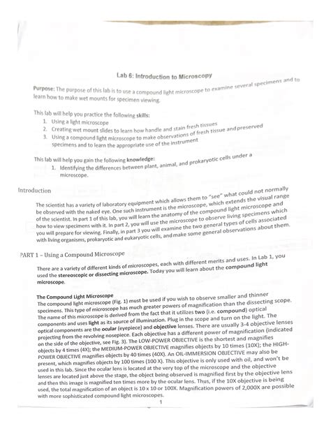 Lab 6 Introduction To Microscopy HBIO 111 Studocu