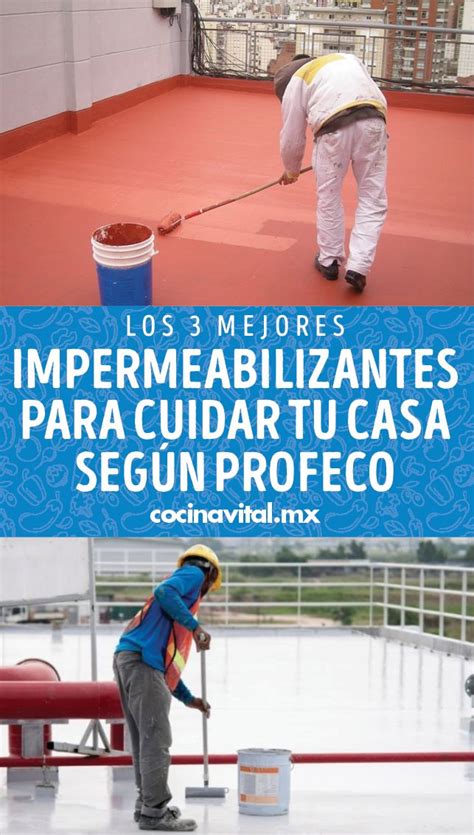 Los 3 Mejores Impermeabilizantes Para Cuidar Tu Casa Según Profeco