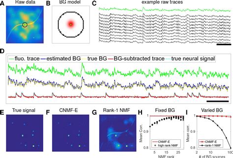 Efficient And Accurate Extraction Of In Vivo Calcium Signals From