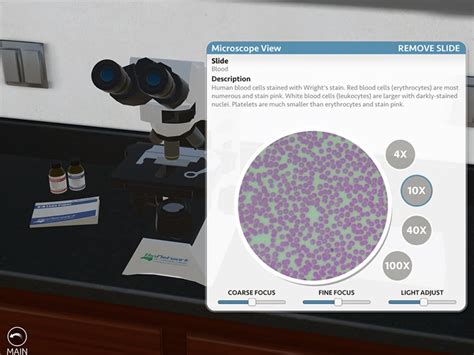 Bionetwork Virtual Microscope By Vernon Shoaf