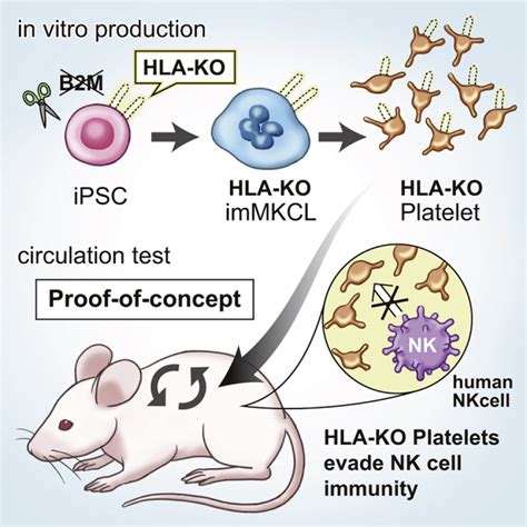 Ipsc Derived Platelets Depleted Of Hla Class I Are Inert To Anti Hla