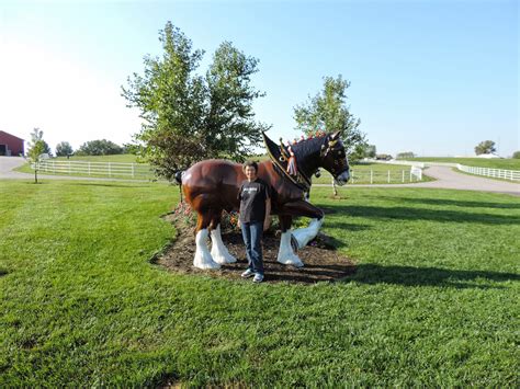 JUST ME: Visiting Warm Springs Ranch at Boonville, Missouri