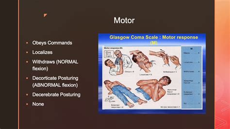 Med Surg Gcs And Nih Stroke Scale Youtube