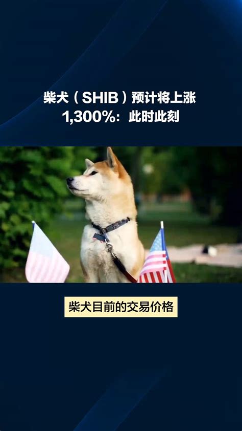 柴犬（shib）预计将上涨 1300：此时此刻 海绵进化论 On Binance Square