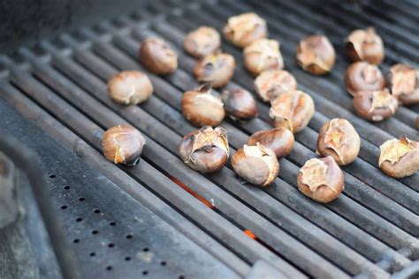 A Guide To Roasting Perfect Chestnuts On A Grill