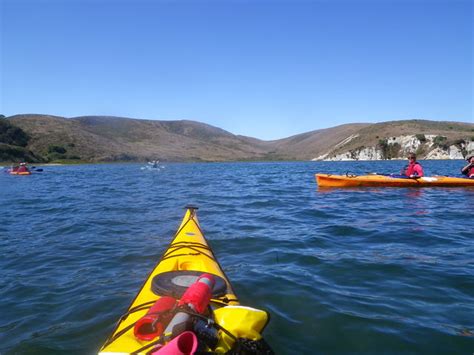 Outback Adventures Gallery :: Tomales Bay Kayaking Tour :: aao