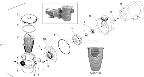 Waterway Center Discharge Pump Parts - INYOPools.com