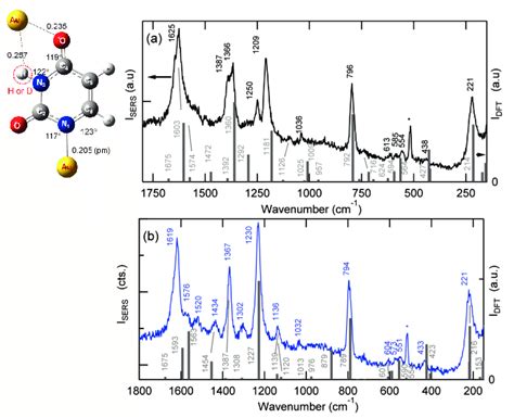 Calculated Raman Spectra Of Uracil Adsorbed On AuNPs A With NH