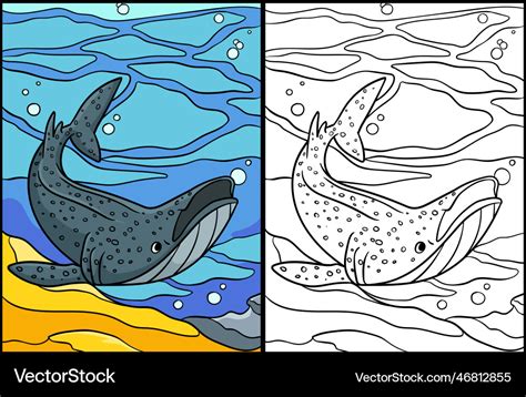 Whale shark coloring page colored Royalty Free Vector Image