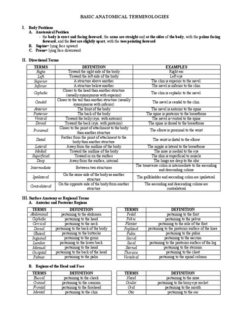 Basic Anatomic Terms | PDF | Anatomical Terms Of Location | Human Anatomy