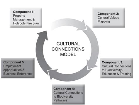 Cultural Connections Model Indicating How The Components Can Be Linked