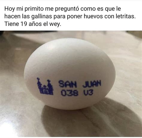 Hoy Mi Primito Me Preguntó Como Es Que Le Hacen Las Gallinas Para Poner