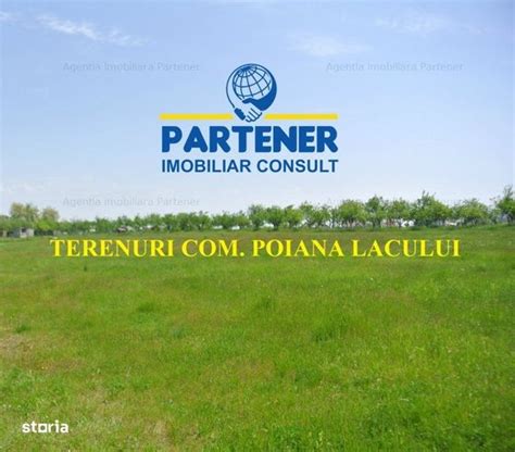 2 478 m² teren de vanzare Arges judet Poiana Lacului 7705875